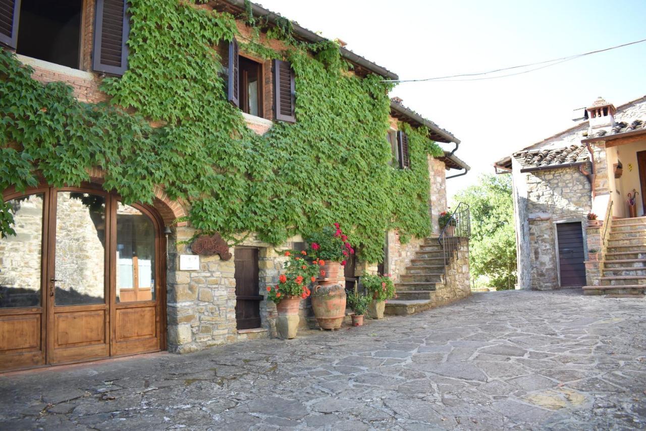 Agriturismo Il Santo Greve in Chianti Esterno foto