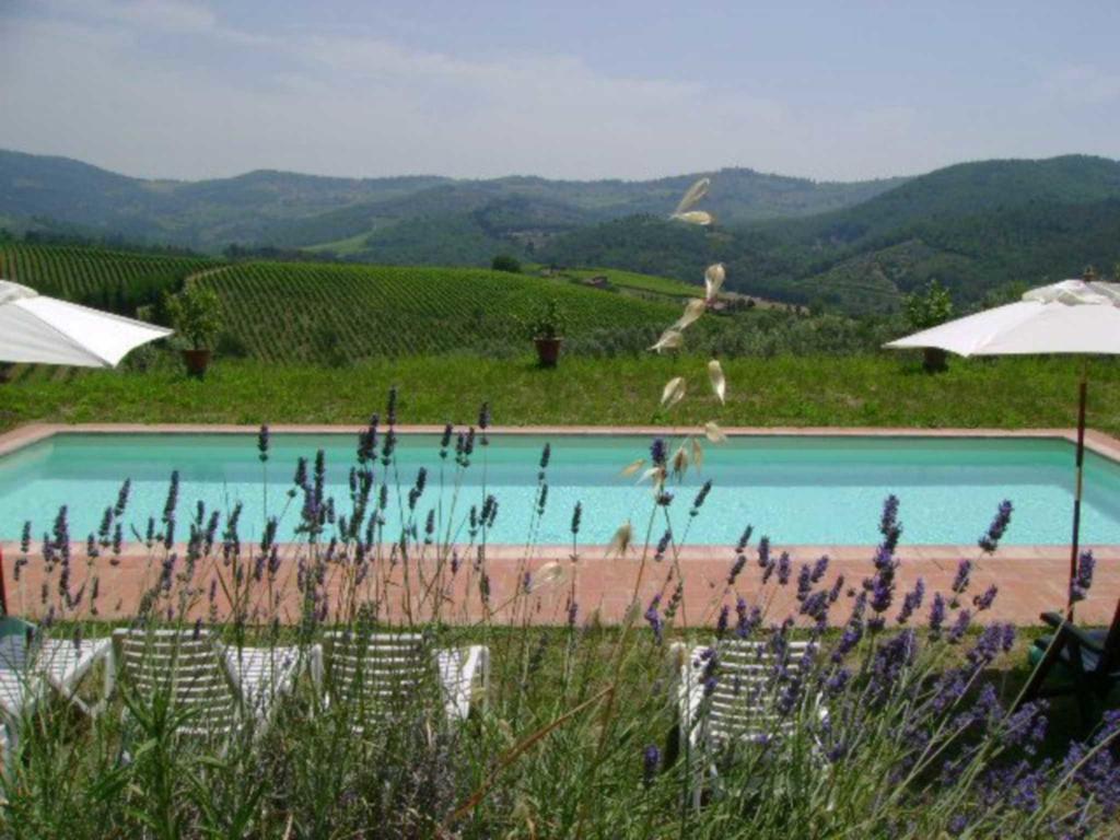 Agriturismo Il Santo Greve in Chianti Esterno foto