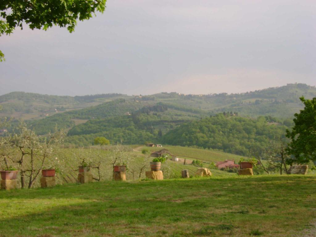 Agriturismo Il Santo Greve in Chianti Esterno foto