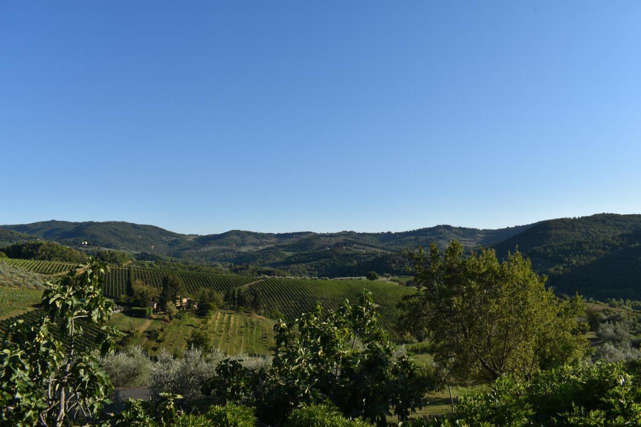 Agriturismo Il Santo Greve in Chianti Esterno foto