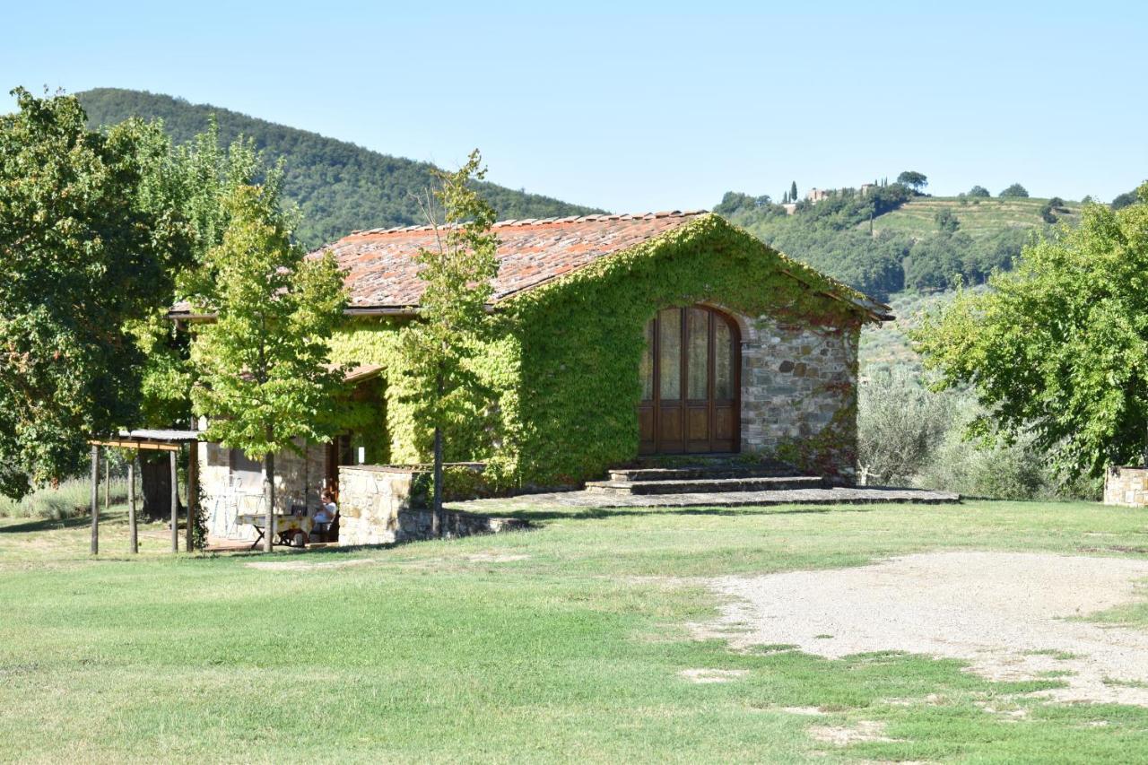 Agriturismo Il Santo Greve in Chianti Esterno foto